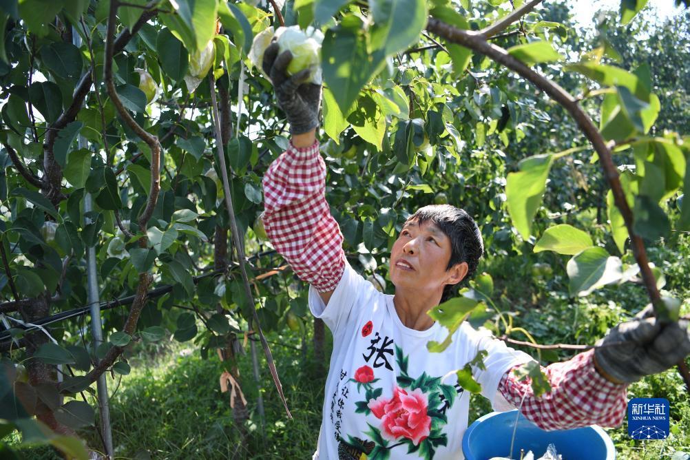 奔驰全新手机登录登不了